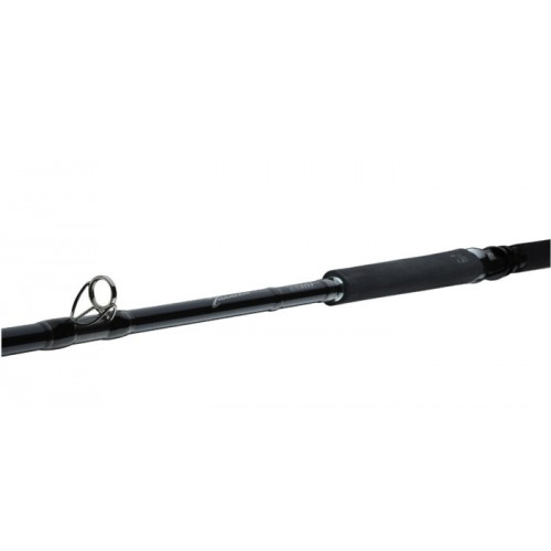 Въдица за морски риболов Daiwa TANACOM ULTRA DEEP 2.10m/400-1000gr |_