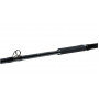 Въдица за морски риболов Daiwa TANACOM ULTRA DEEP 2.10m/400-1000gr |_
