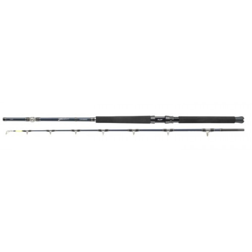 Въдица за морски риболов Daiwa TANACOM ULTRA DEEP 2.10m/400-1000gr |_