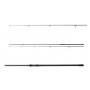 Шаранджийски въдици Daiwa 25 BLACK WIDOW XT CARP - (2 части) |_Daiwa