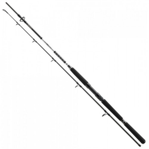 Въдица за морски риболов - DAIWA BG OFFSHORE BOAT 23 - 2.40м/150-400гр_Daiwa