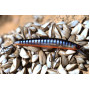 Воблер Daiwa TOURNAMENT MINNOW 9.5 см - Suspending_Daiwa