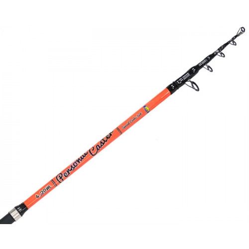 Сърфкастинг въдица Lineaeffe PERSONAL CASTER WTG 4.20m / 180gr_Lineaeffe
