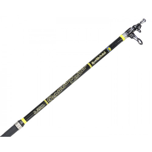 Сърфкастинг въдици Lineaeffe PERSONAL CASTER WTG - 4.20m 200/250gr |_Lineaeffe