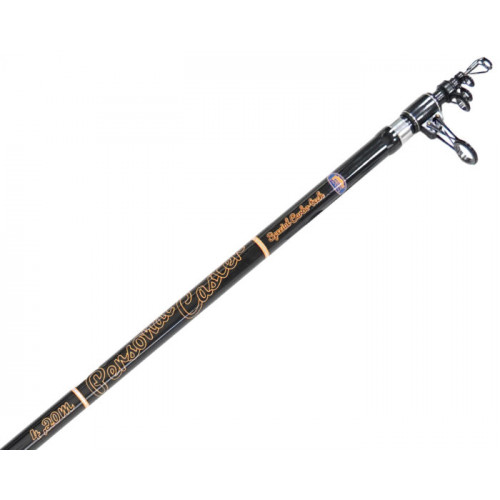 Сърфкастинг въдици Lineaeffe PERSONAL CASTER WTG - 4.20m 200/250gr |_Lineaeffe