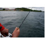 Спининг въдици DAIWA PRO STAFF BIG BAIT SPIN |_Daiwa