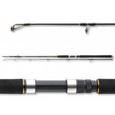 Въдица за морски риболов Daiwa BG OFFSHORE 20 - 2.40m/50-165gr