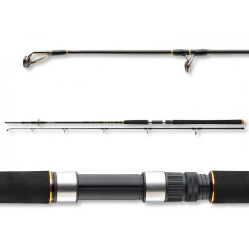 Въдица за морски риболов Daiwa BG OFFSHORE 20 - 2.40m/50-165gr |_Daiwa