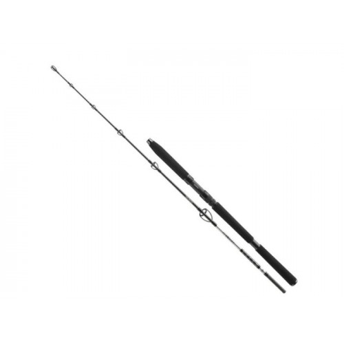 Въдица за морски риболов - DAIWA BG SEA JIGGER 23 1.70m/150-400gr_Daiwa