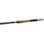 Спининг въдица DAIWA 25 MEGAFORCE CATFISH BOJE - 3.00/3.30m - 200-600gr |_Daiwa