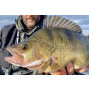 Воблер DAIWA STEEZ SHAD 60SP-DR - 6.0cm/7.0gr |_Daiwa