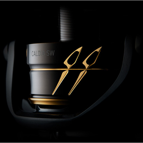 Макара Daiwa 22 CALDIA SW (JP) |_Daiwa