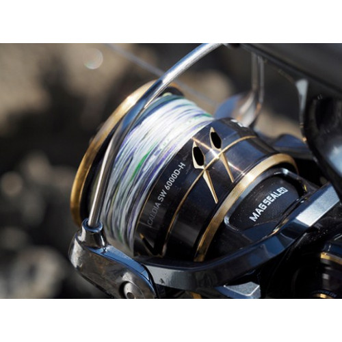 Макара Daiwa 22 CALDIA SW (JP) |_Daiwa