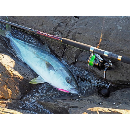 Макара Daiwa 22 CALDIA SW (JP) |_Daiwa