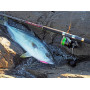 Макара Daiwa 22 CALDIA SW (JP) |_Daiwa