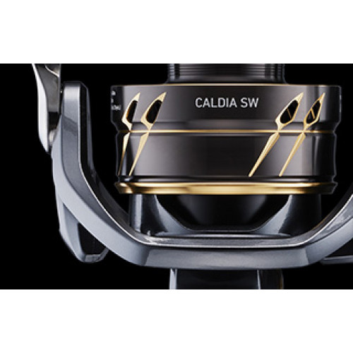 Макара Daiwa 22 CALDIA SW (JP) |_Daiwa