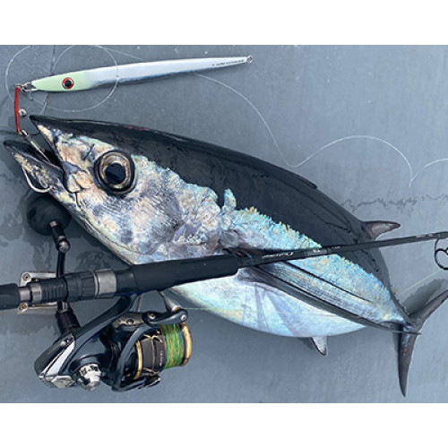 Макара Daiwa 22 CALDIA SW (JP) |_Daiwa