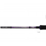 Спининг въдици за морски риболов DAIWA CROSSCAST SEABASS |_Daiwa