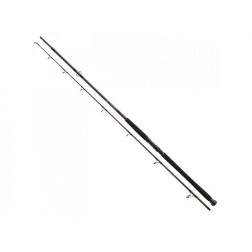 Въдица за риболов на сом DAIWA EXCELER CATFISH BOJE - 2.70m/200-600gr |_Daiwa