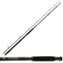 Въдица за риболов на сом DAIWA EXCELER CATFISH BOJE - 2.70m/200-600gr |_Daiwa