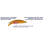 Воблер BABYFACE M60SR-S - 6.0cm/4.3gr - Sinking |_Babyface