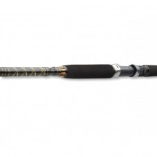 Въдица за морски риболов - DAIWA BG OFFSHORE BOAT 20 - 2.40м/150-400гр |
