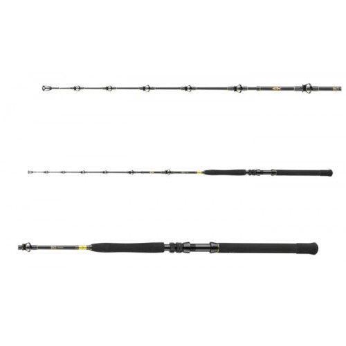 Спининг въдици DAIWA 23 BG BIG GAME |_Daiwa