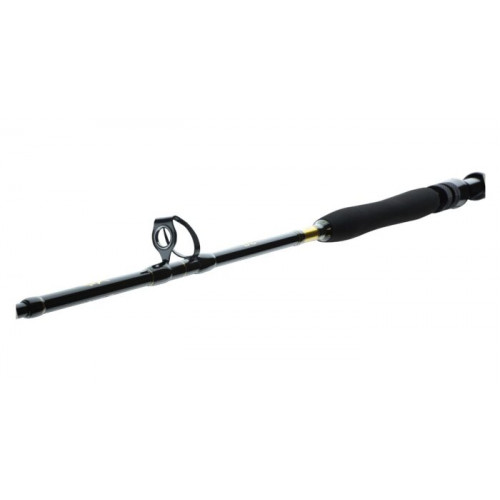 Спининг въдици DAIWA 23 BG BIG GAME |_Daiwa