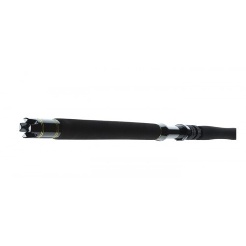 Спининг въдици DAIWA 23 BG BIG GAME |_Daiwa