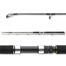 Въдица за морски риболов Daiwa BG OFFSHORE 20 - 2.40m/50-165gr |