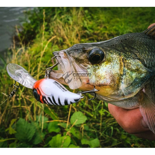 Воблер SPRO Fat IRIS 40 DEPTH 2м / 6,2г_SPRO