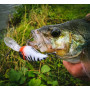 Воблер SPRO Fat IRIS 40 DEPTH 2м / 6,2г_SPRO