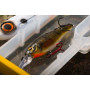 Прозрачна кутия SPRO TBX - Tackle Box Range 35x25x5cm Clear_SPRO