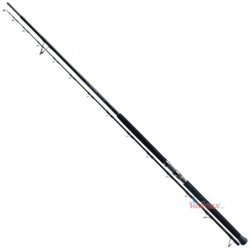 Прът Defi Muthos Accura 100H RG 100 (3.05м) 30-200g(Jig) 30-120g(Plug) / PE Line: MAX#5 - Zenaq_ZENAQ