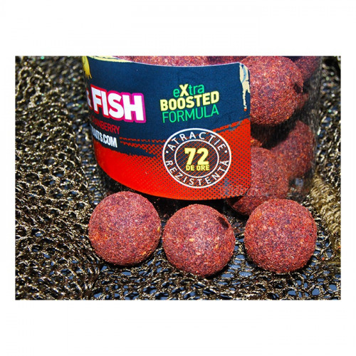 Топчета за куки Hookbait Hard Meat & Fish 24 мм - Select Baits_Select Baits