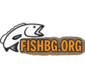 FishBG
